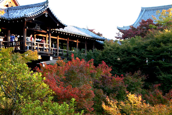 東福寺 紅葉のはじめ_e0048413_22371331.jpg