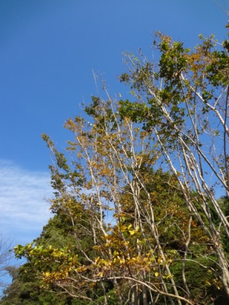 a0232921_014389.jpg