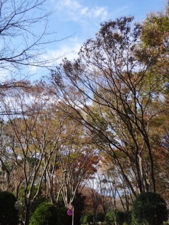 a0232921_0162577.jpg
