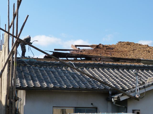a0188023_829669.jpg