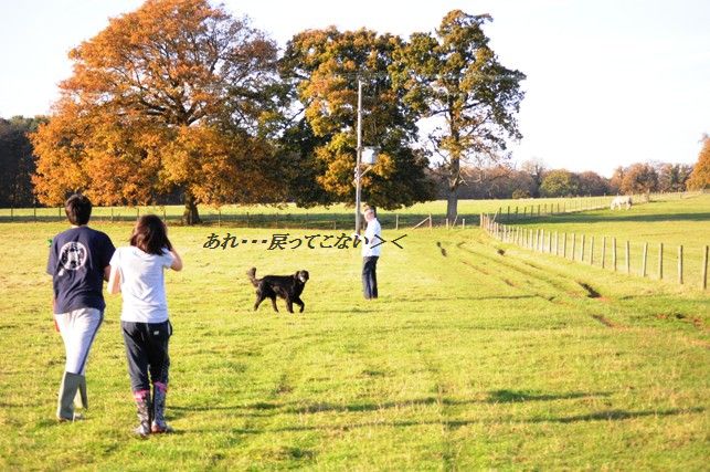 コーンとベーコンとクレソンの塩レモンチャーハン_d0104926_558689.jpg