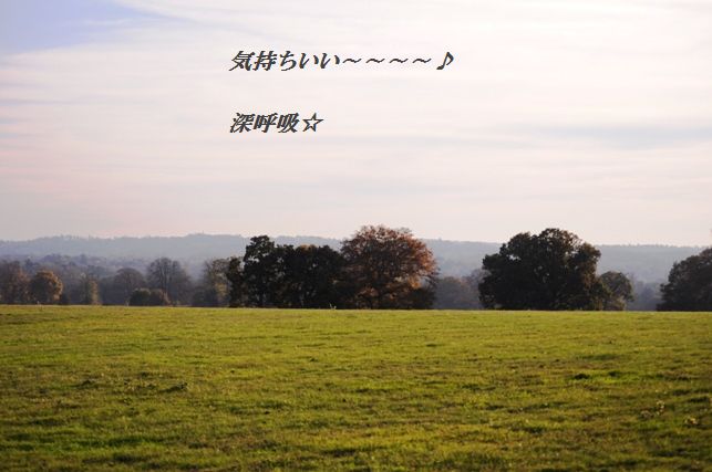 コーンとベーコンとクレソンの塩レモンチャーハン_d0104926_613518.jpg