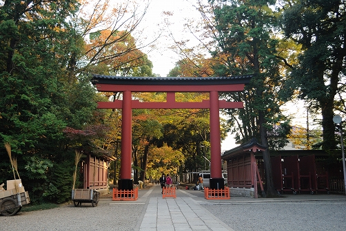 福岡大学戦こぼれ_b0000829_20422927.jpg