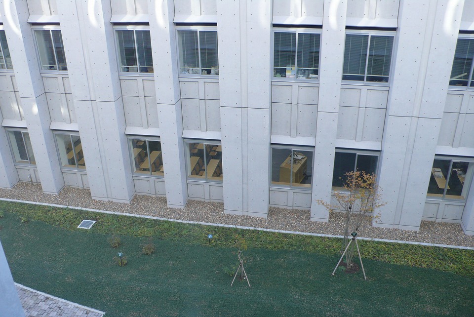 b0113231_1745454.jpg