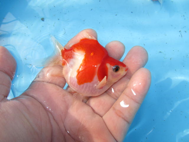f0214235_1636946.jpg