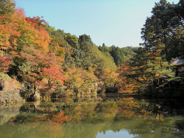 c0047341_7482128.jpg