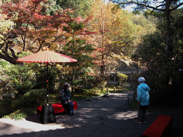 c0047341_7483575.jpg