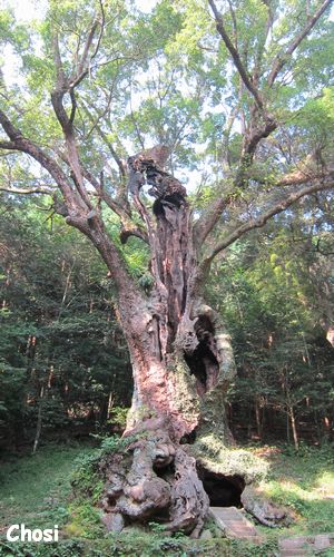 佐賀旅行　第二日目～第三日目　（完）_c0004750_23174950.jpg