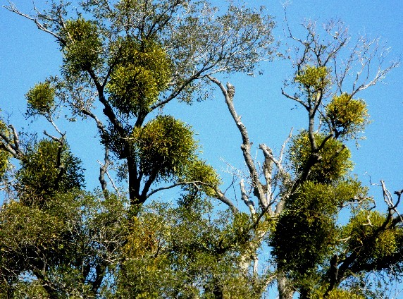 　　和歌山城公園散策_b0093754_23505830.jpg