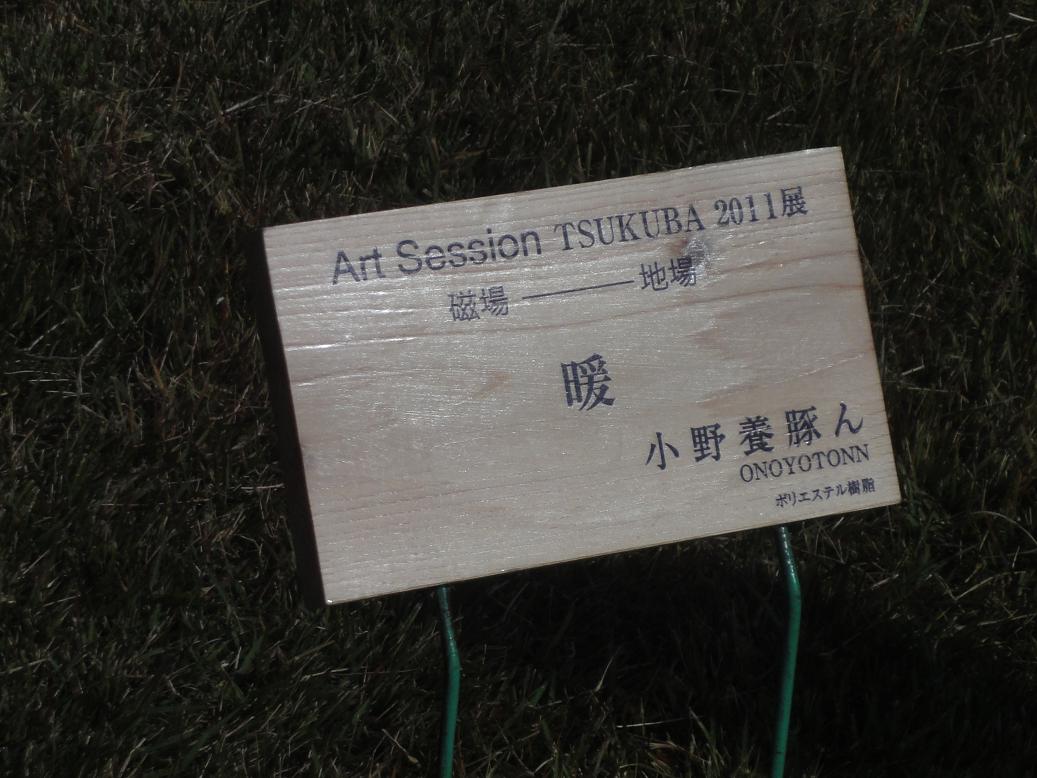 Art Sesson TSUKUBA 2011展 その３_b0124462_4515939.jpg