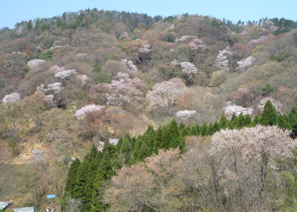 b0129962_15231992.jpg