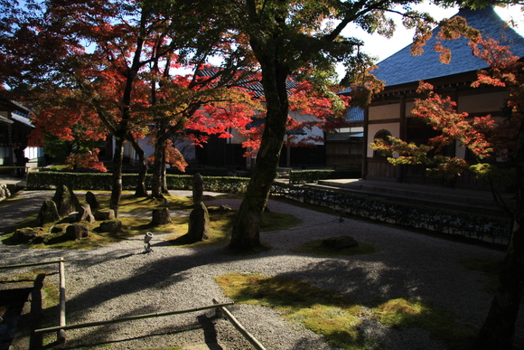 永源寺　２_c0196076_1341625.jpg