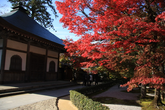 永源寺　２_c0196076_1381026.jpg