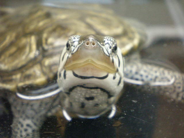e0211781_16454960.jpg