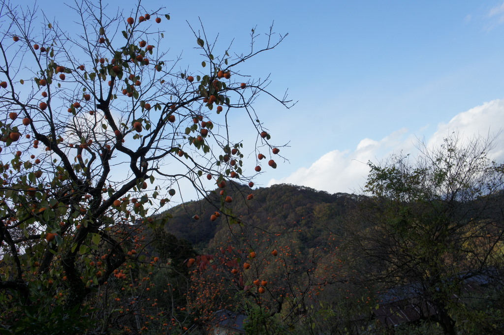 福島、締めくくり。_c0180686_10123360.jpg