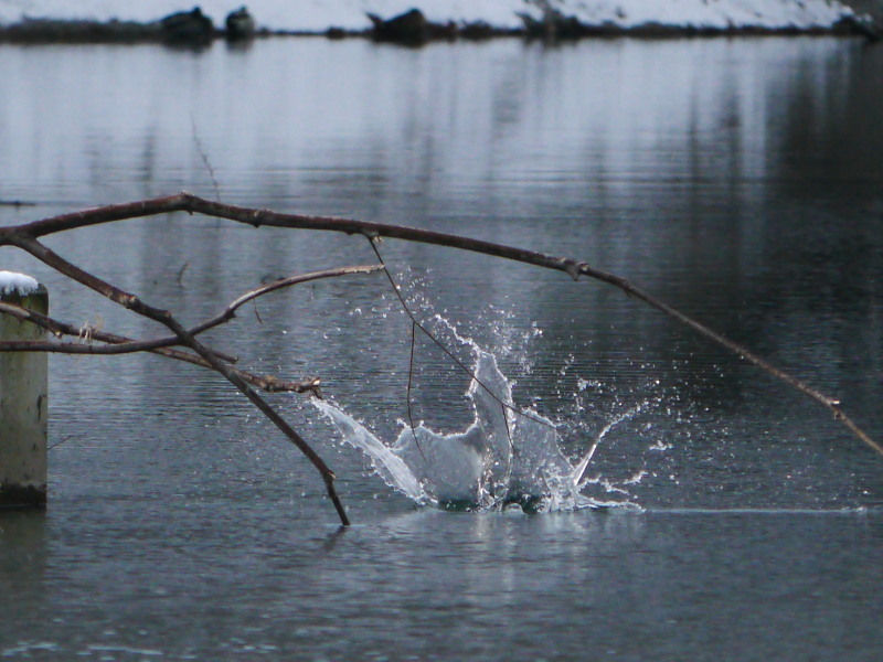 b0203989_21474729.jpg
