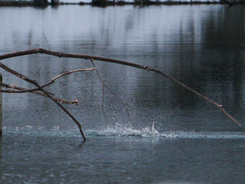 b0203989_2148250.jpg