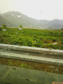 c0115092_944394.jpg
