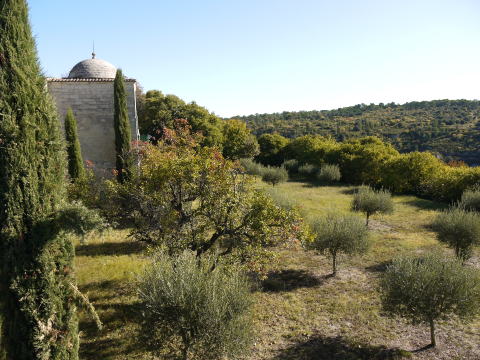 c0090198_1422664.jpg