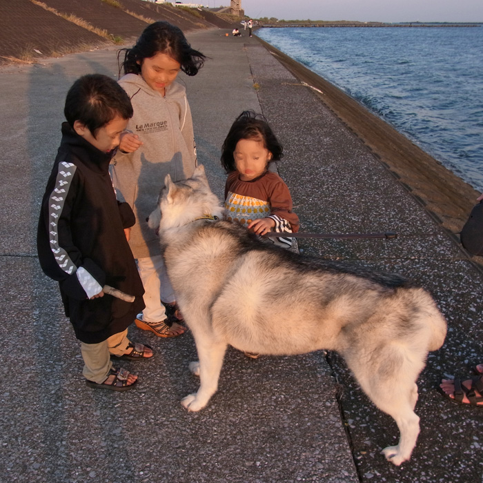 朝の大淀川から by CX5_c0049299_12413311.jpg