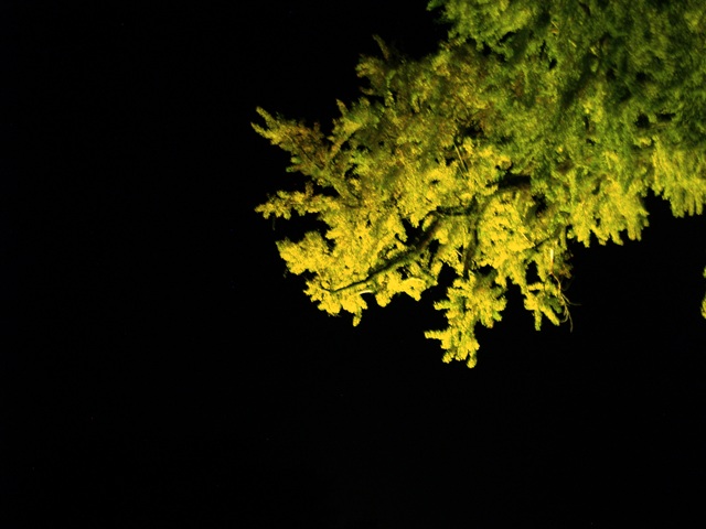 d0240600_23215992.jpg
