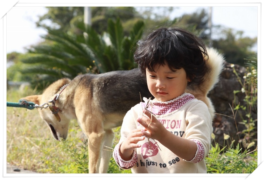 犬と少女 ハチミツの海を渡る風の音 犬と少女 ハチミツの海を渡る風の音