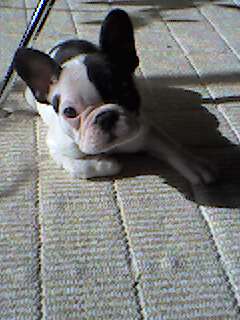 e0200812_1584156.jpg