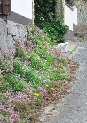 f0218012_2240147.jpg