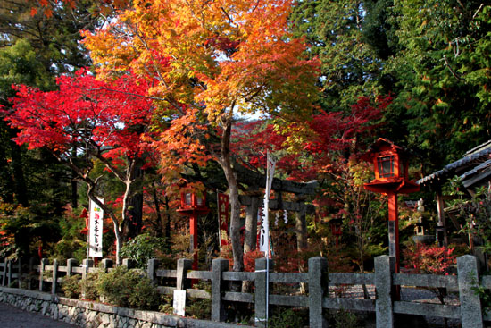 亀岡　鍬山神社_e0048413_19452064.jpg