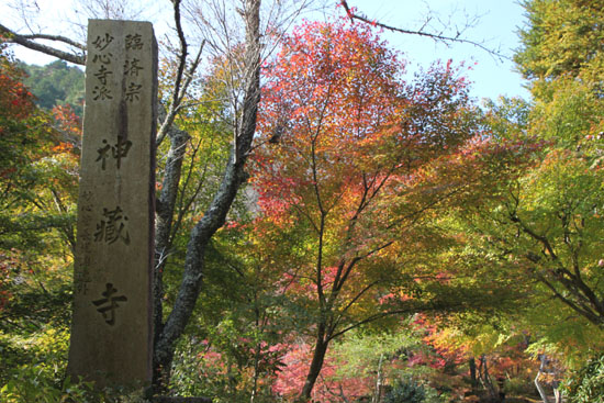 亀岡 神蔵寺_e0048413_225271.jpg