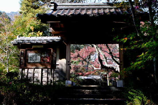 亀岡　神蔵寺_e0048413_2255093.jpg