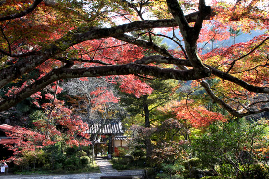 亀岡　神蔵寺_e0048413_2261725.jpg