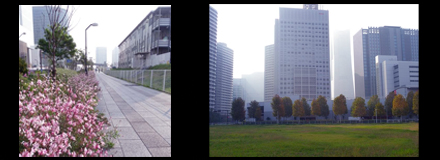 11月初東京行—樂器展篇_d0187917_124118.jpg