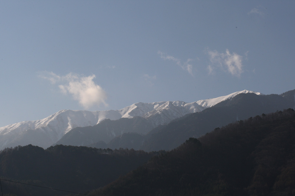 f0181821_100248.jpg