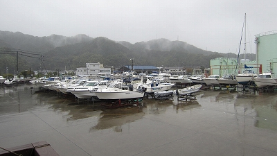 a0132631_174607.jpg