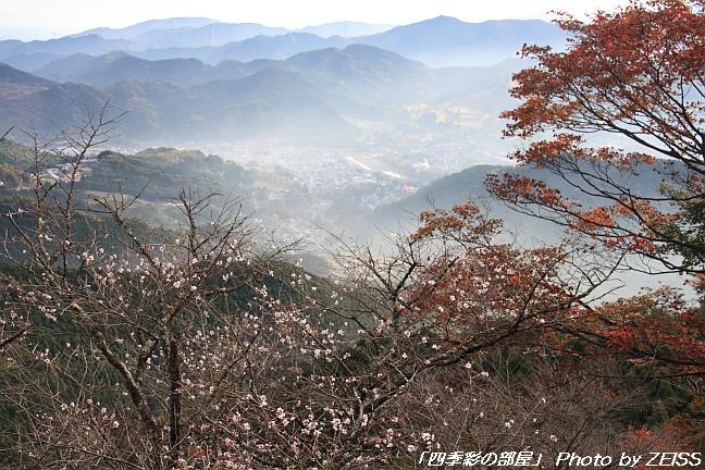 上州鬼石の冬桜と･･･①_a0195032_15255283.jpg