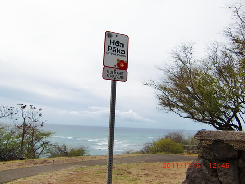 f0020336_20985.jpg