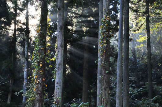 c0093046_84992.jpg