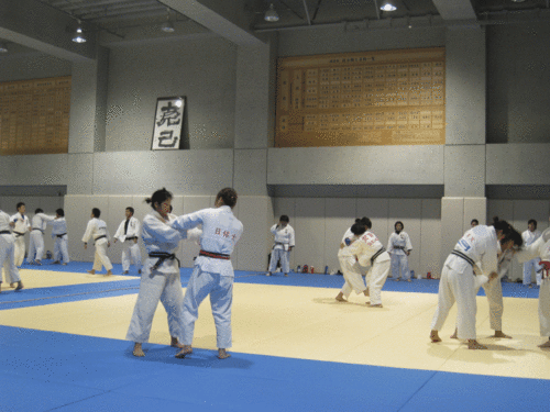 d0200447_2342819.gif