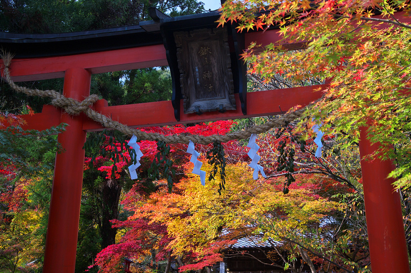 彩られる境内（鍬山神社）_f0155048_1920613.jpg