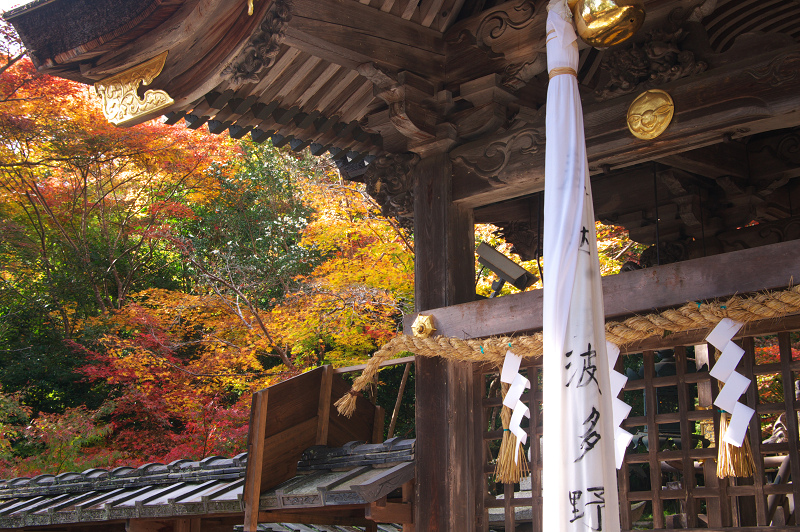 彩られる境内（鍬山神社）_f0155048_19225963.jpg