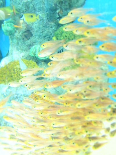 e0183949_12293657.jpg