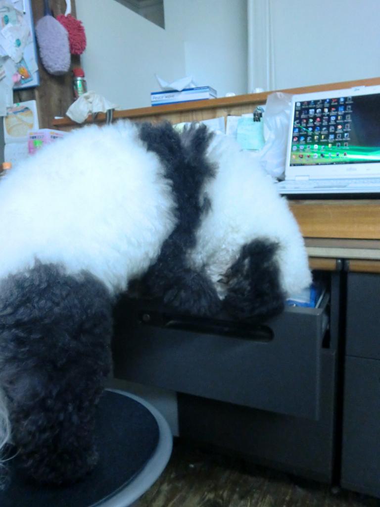 b0199050_21491650.jpg