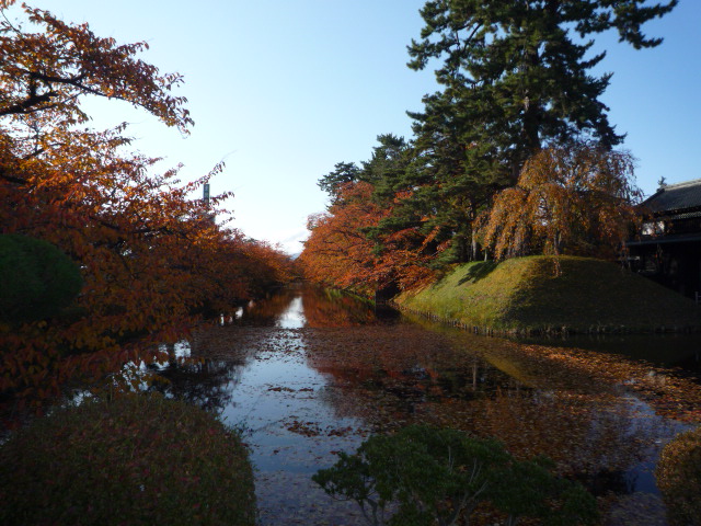 着物で青森・羽織と衿まき・弘前城の美しい紅葉。_f0181251_1784784.jpg