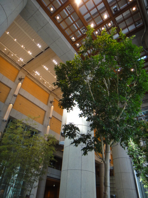 f0036857_2030961.jpg