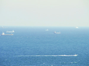 e0130264_2385929.jpg