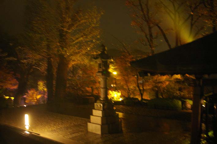 悪天候の中朱雀長谷寺ライトアップオープニングLIVE満席_c0014967_21381253.jpg
