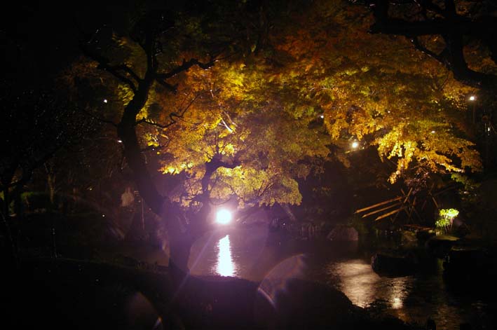 悪天候の中朱雀長谷寺ライトアップオープニングLIVE満席_c0014967_21383459.jpg