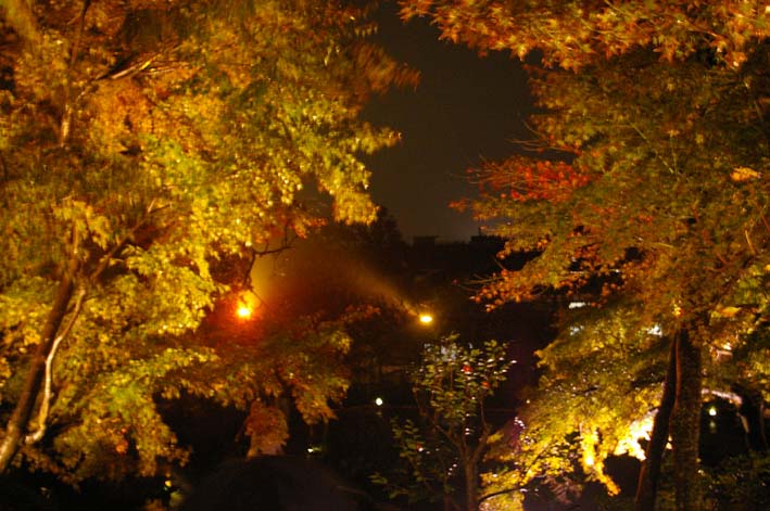 悪天候の中朱雀長谷寺ライトアップオープニングLIVE満席_c0014967_21385254.jpg