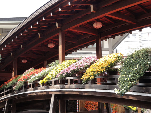 b0006870_12231885.jpg